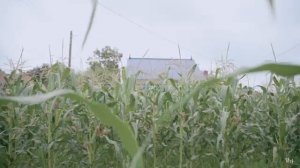 Летний пейзаж сельской местности, целебное видео, фреска Нонсан Ях-ри, сельский пейзаж деревни