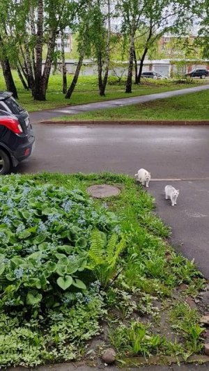 У природы нет плохой погоды