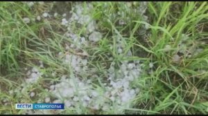 Вести. Ставропольский край» 30.05.2026 (14.30)