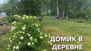 Домик в деревне Первый покос и первая рыбка для котов Обзор проделанной работы Теперь вокруг красота