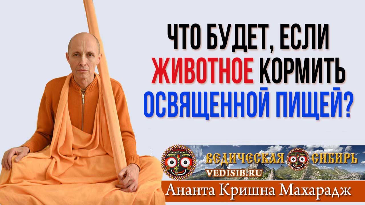 Что будет, если животное кормить освященной пищей?