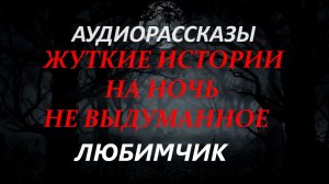 СТРАШНЫЕ РАССКАЗЫ НА НОЧЬ-ЛЮБИМЧИК