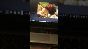 Рекомендую сайт Аква Маркет...