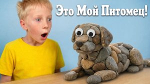 МОЙ НОВЫЙ ПИТОМЕЦ! Восторг или Разочарование?