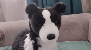 разговор ( заказала новую одежду)