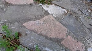 3 ЧАСТЬ МУРАВЬЁВ!