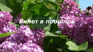 билет в прошлое