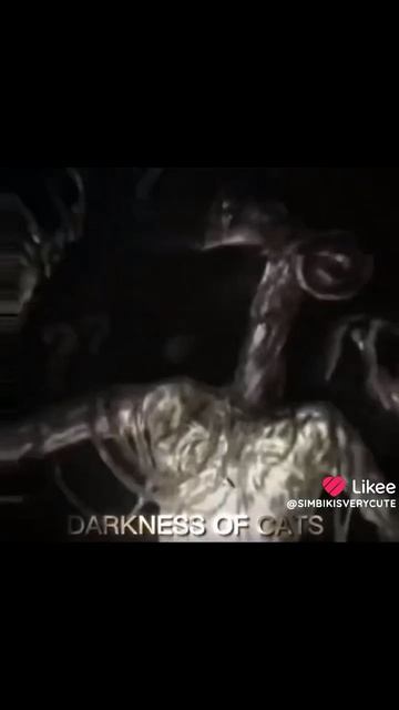 1000001834.mp4 смотреть онлайн