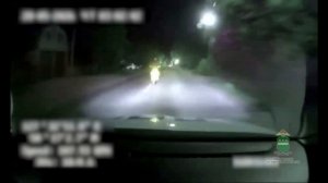 Мотоциклист уезжает от полицейских в Благовещенске