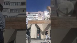 спорт
