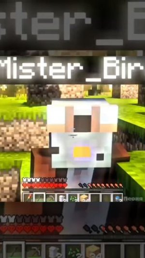 Эдит про Mister_Bird(за старание поставь лайк и подпишись, пожалуйста 🥺🥺🥺)