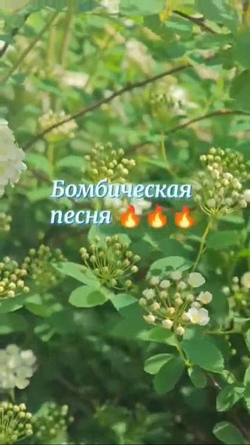 Ничего не жди...