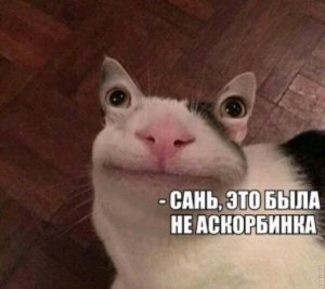 помогите плиз