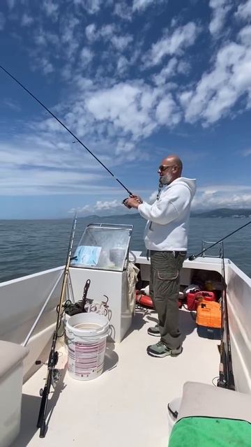 Полное море рыбы смотреть онлайн