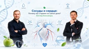 Продукция Сово-Сова для Сосудов и Сердца. Денис Трофимов, Олег Патлай