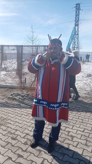 Зов Севера смотреть онлайн