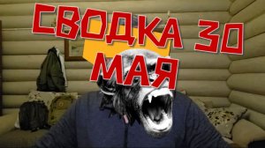 Сводка 30 мая