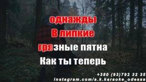Астероид(AK)~___Mary Gu #караоке #подпишись #тренды #Kurkov @a.k.karaoke💖