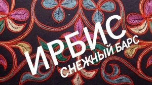 16.05.2026. Ирбис. Снежный барс