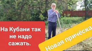 Убрали укрывной. Разнообразие чая. Стрижка. Жизнь станичная на пенсии.