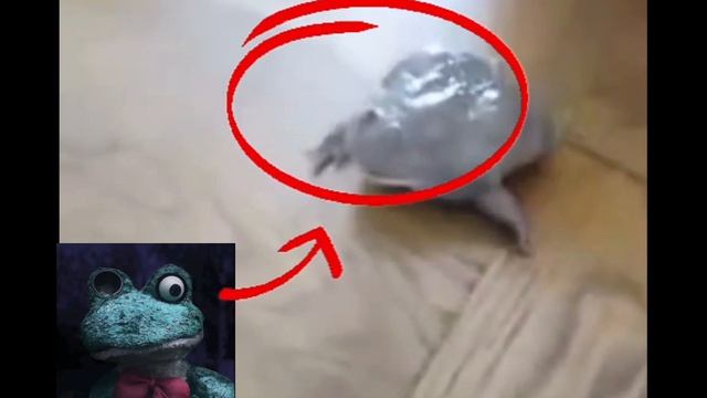 |ФРОГГИ НАСТОЯЩИЙ🫪|  (не фуйк)
