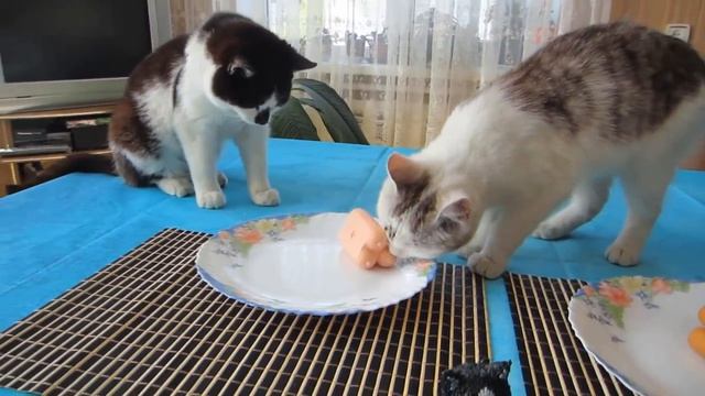 [А ну-ка Давай-ка]СКВИШИ ЧЕЛЛЕНДЖ! SQUISHY FOOD vs REAL FOOD! От Смеха Болят Животы смотреть онлайн