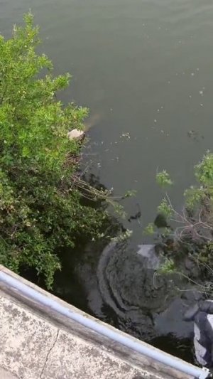 1000055552.mp4