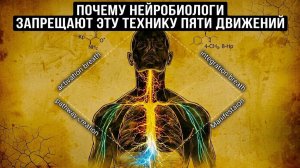 18. Твой мозг саботирует тебя. Вот как это остановить | За Гранью Кода