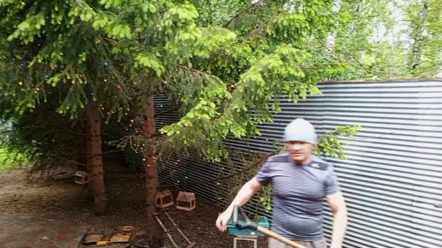 дикий вольный зоопарк