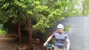 дикий вольный зоопарк