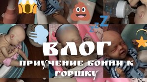 🧺Приучение Бонни к горшку/как приучится?🚽🧻🧺