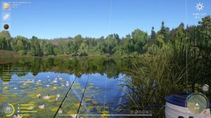 Russian Fishing 4 183 серия разнорыбица