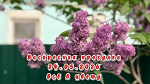 Воскресная прогулка 24.05.2026. Всё в цвету