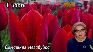 1 часть. Простилась ли куча с ЛЮБИМОЙ тётей❓️Зачем ездила на МОГИЛУ  родителей❓️