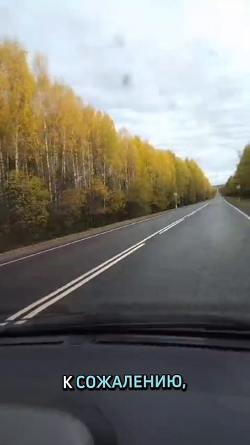 стих 