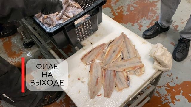 Разделка путассу на Baader 35F Филетировочная машина