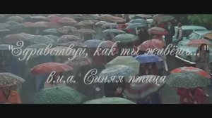 «Здравствуй, как ты живёшь...» - в.и.а.  Синяя птица