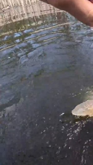 1000055554.mp4