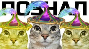 ИЗМАЙЛОВ: Я познал Phantom Lancer