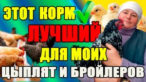 Только ТАКОЙ КОРМ повышает РОСТ и ВЕС моих цыплят.