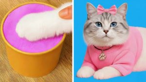 Прячем КОТЕНКА!🏠✨ Секретная комната, сделанная своими руками, чтобы она была в безопасности