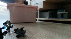 1000001104.mp4