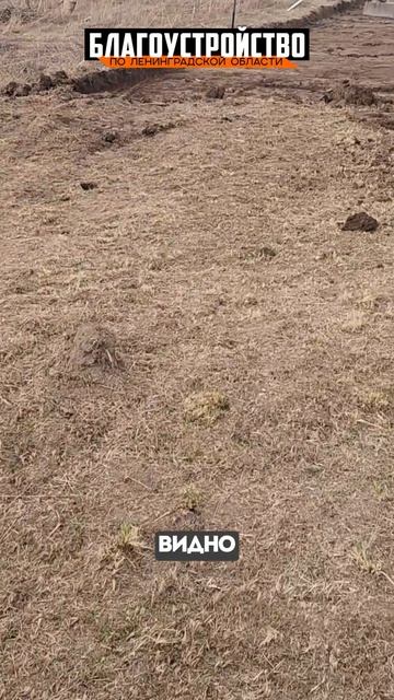 Расчистка участка перед планировкой