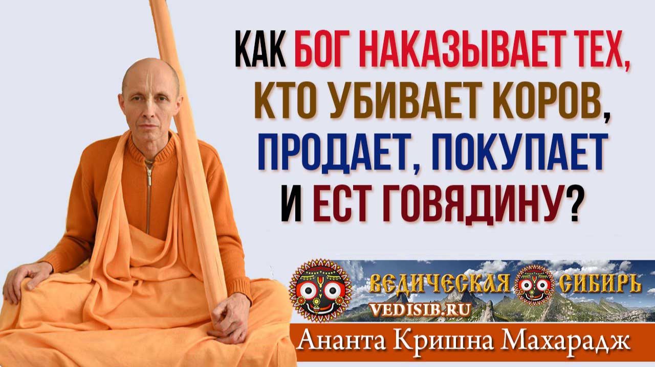 Как Бог наказывает тех, кто Убивает Коров, Продает, Покупает или ест Говядину?