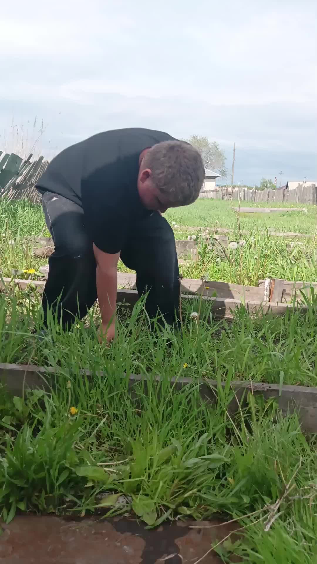 члч смотреть онлайн