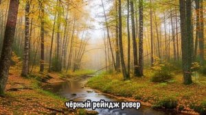 «НА МОГИЛЕ ЖЕНЫ».  История.,  которую вы запомните.