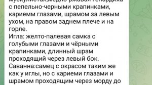 окрасы персонажей для мапа