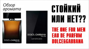 СТРЁМ или НОРМ? // The One for Men Eau de Parfum Dolce&Gabbana // Обзор аромата // Fragrance Review