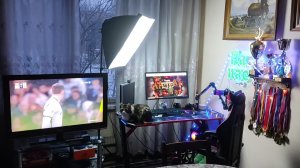 День жёлтых от одуванчиков носов