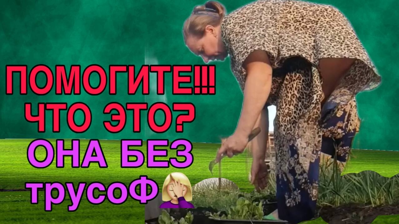 ТРУЛИ ВЕТРОМ СДУЛО? ОЛЬГА ИЗ ЗАУРАЛЬЯ. ОБЗОР. смотреть онлайн